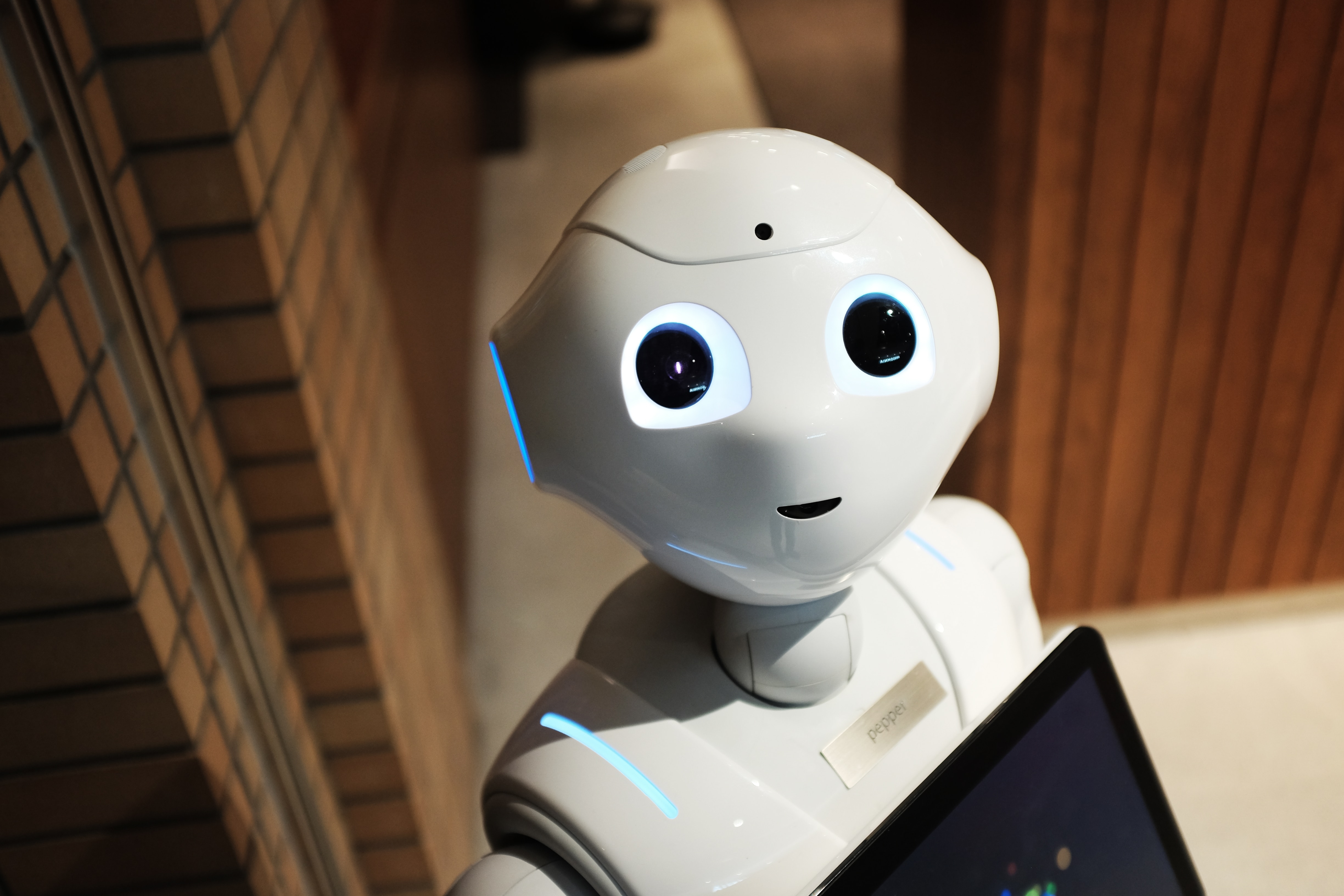 cute-bot